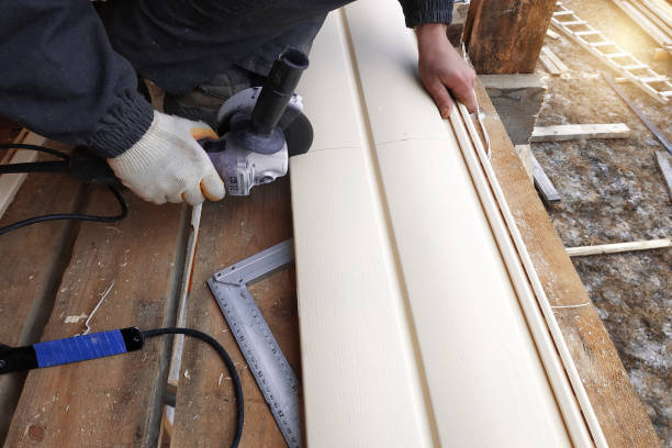 Best Fascia and Soffit Installation  in Vista, CA