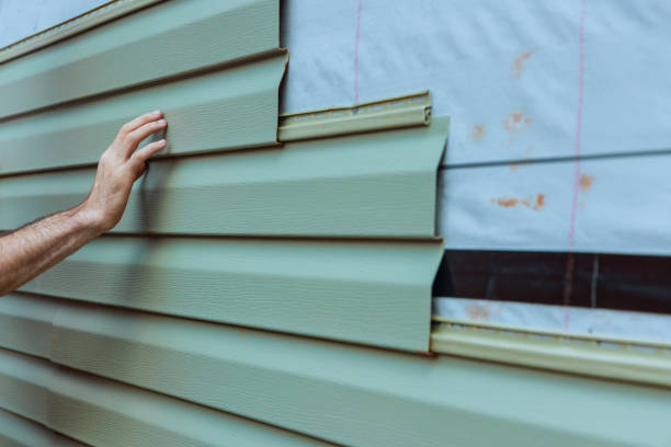 Professional Siding in Vista, CA